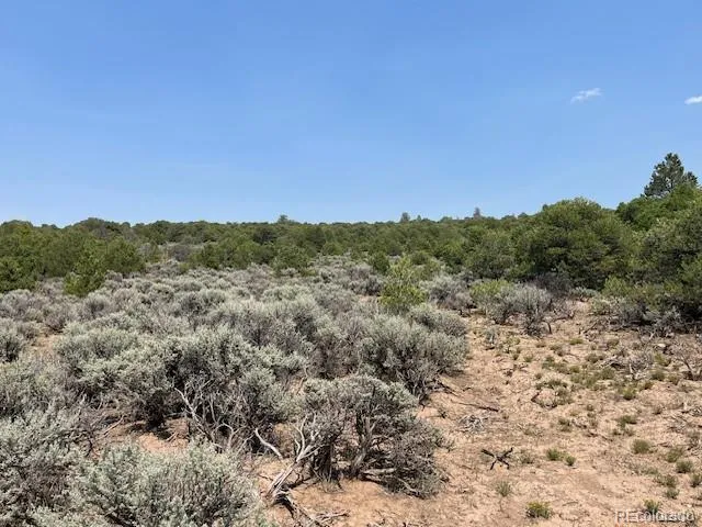 Lot 12 Bull Elk Trail San Luis, CO 81152