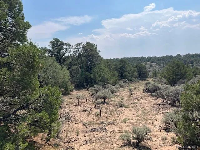 Lot 12 Bull Elk Trail San Luis, CO 81152