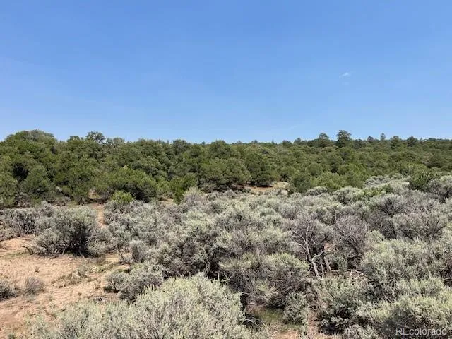 Lot 12 Bull Elk Trail San Luis, CO 81152