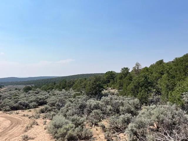 Lot 12 Bull Elk Trail San Luis, CO 81152