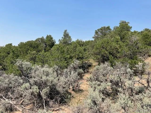 Lot 12 Bull Elk Trail San Luis, CO 81152
