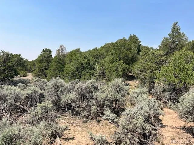 Lot 12 Bull Elk Trail San Luis, CO 81152