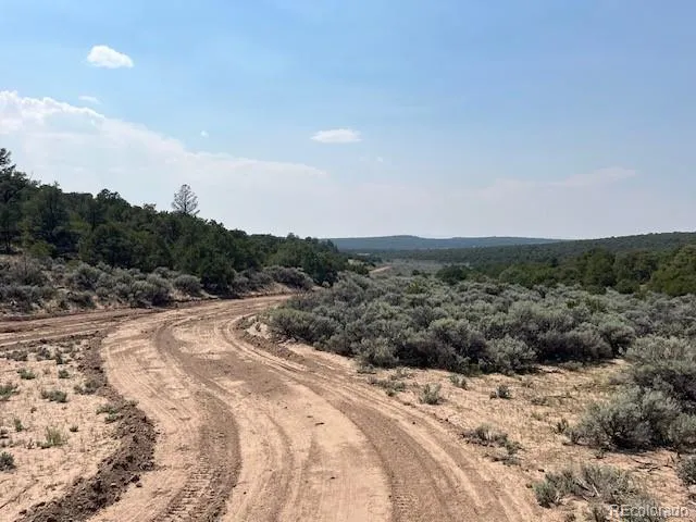 Lot 12 Bull Elk Trail San Luis, CO 81152