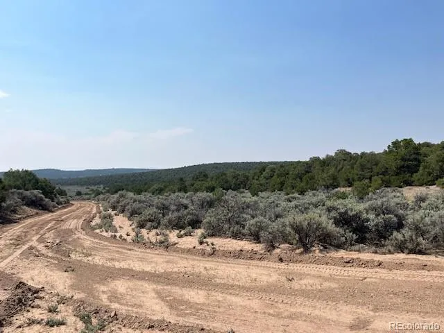 Lot 12 Bull Elk Trail San Luis, CO 81152