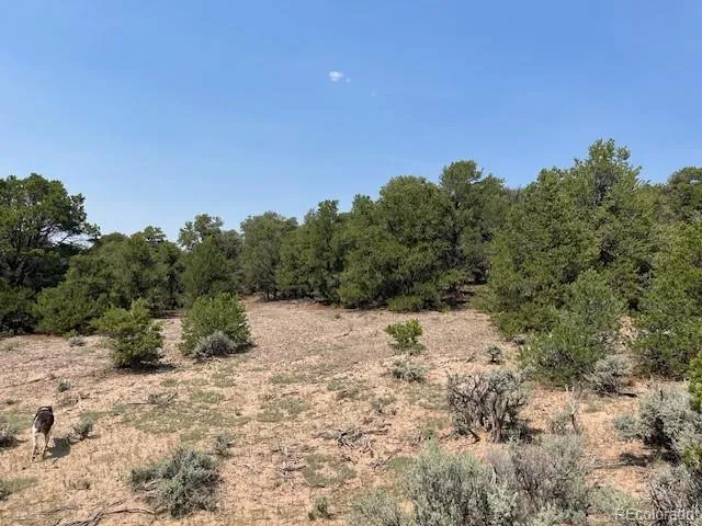 Lot 12 Bull Elk Trail San Luis, CO 81152
