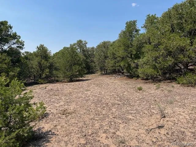 Lot 12 Bull Elk Trail San Luis, CO 81152