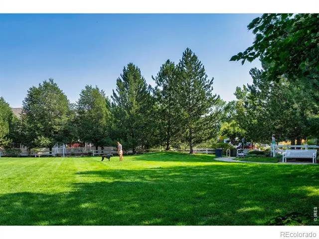 811 Snowberry Street Longmont, CO 80503