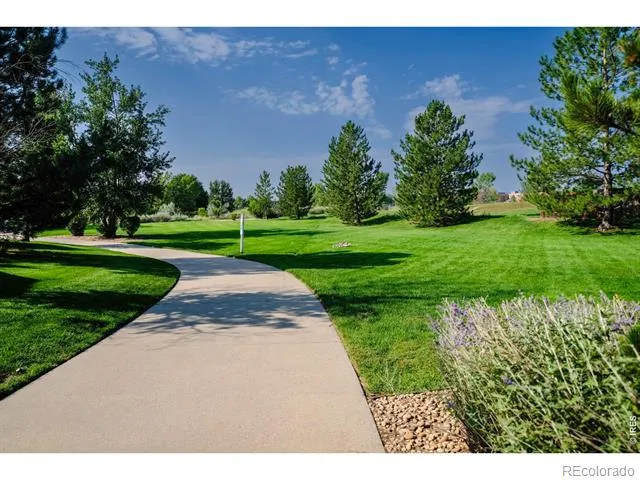 811 Snowberry Street Longmont, CO 80503