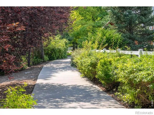 811 Snowberry Street Longmont, CO 80503