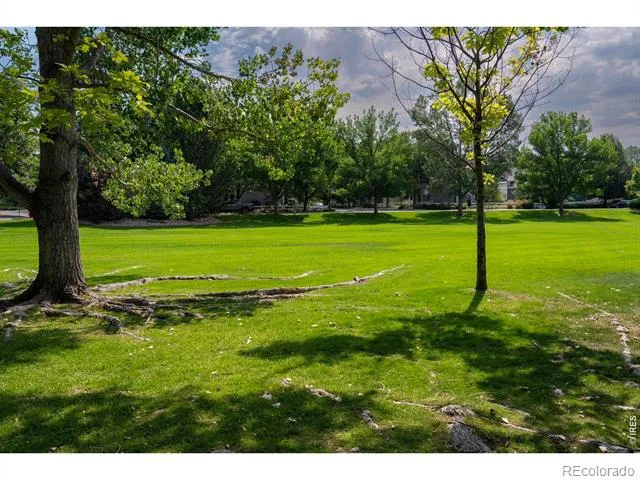 811 Snowberry Street Longmont, CO 80503