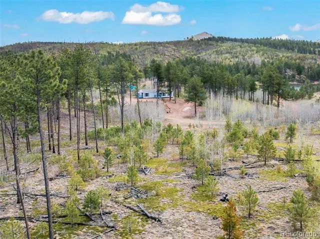 100 Wolverine Drive Florissant, CO 80816