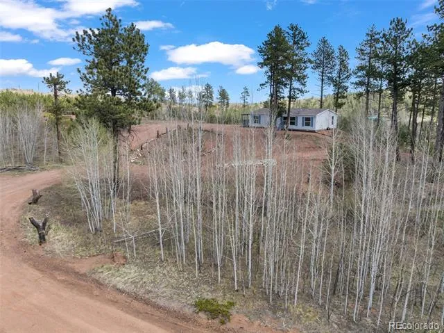 100 Wolverine Drive Florissant, CO 80816