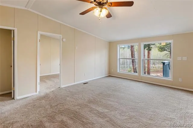 100 Wolverine Drive Florissant, CO 80816