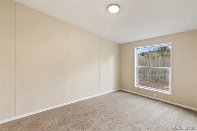 100 Wolverine Drive Florissant, CO 80816