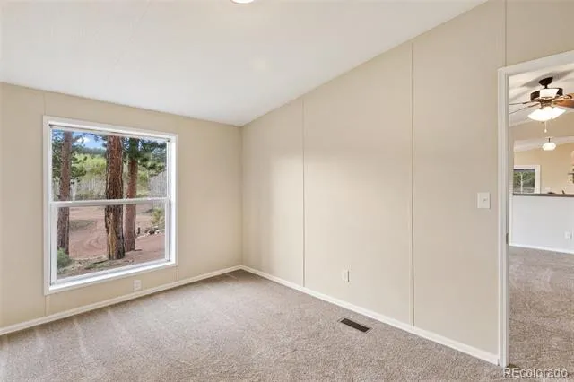 100 Wolverine Drive Florissant, CO 80816