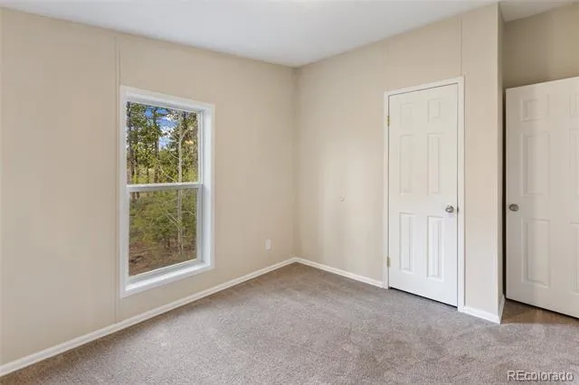 100 Wolverine Drive Florissant, CO 80816