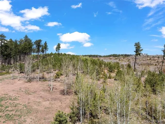 100 Wolverine Drive Florissant, CO 80816