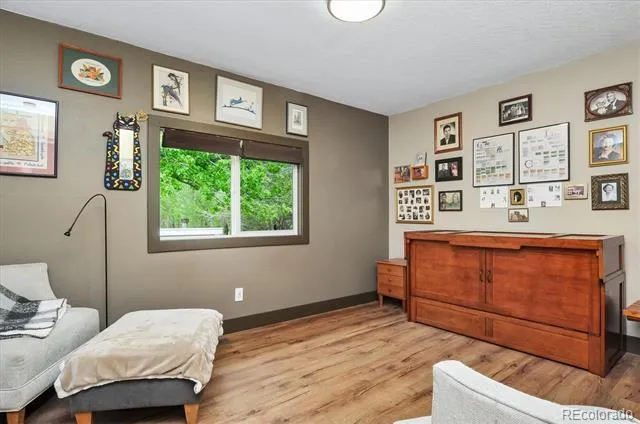 15171 County Road 306 Buena Vista, CO 81211