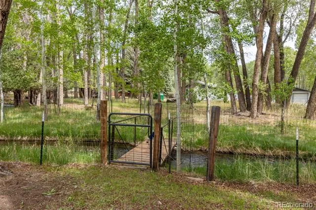 15171 County Road 306 Buena Vista, CO 81211