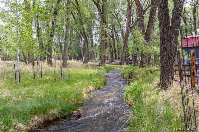 15171 County Road 306 Buena Vista, CO 81211