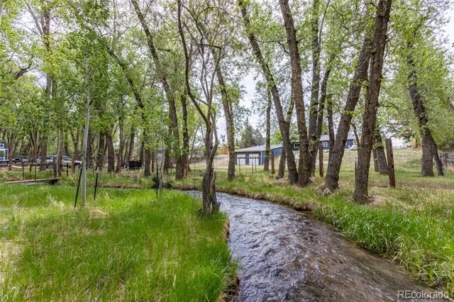 15171 County Road 306 Buena Vista, CO 81211