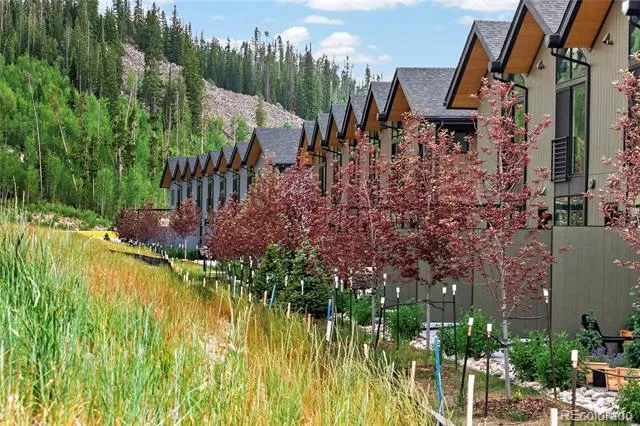 60 Wheeler Road Winter Park, CO 80482