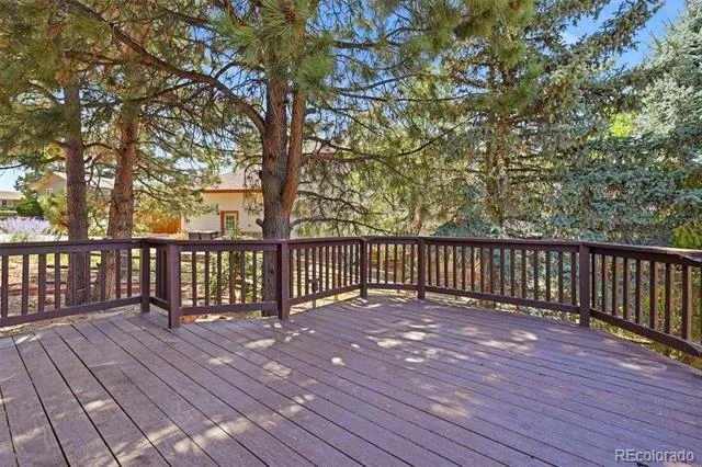 5314 Blandford Circle Parker, CO 80134