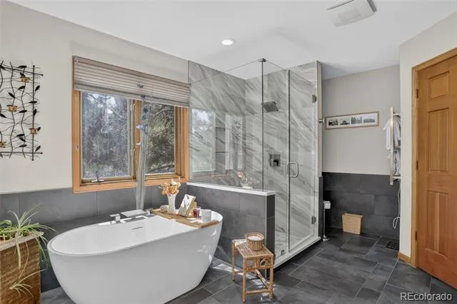 31667 Broadmoor Drive Evergreen, CO 80439