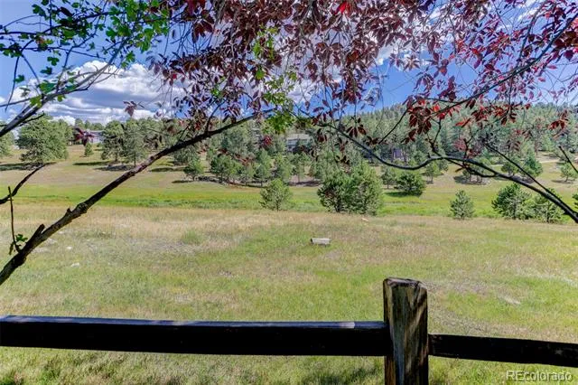 31667 Broadmoor Drive Evergreen, CO 80439