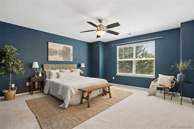 3528 Wonder Drive Castle Rock, CO 80109