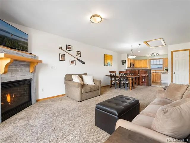 103 Elk Creek Drive #D Fraser, CO 80442