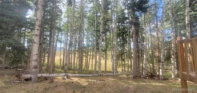 2649 Petito Drive Fort Garland, CO 81133