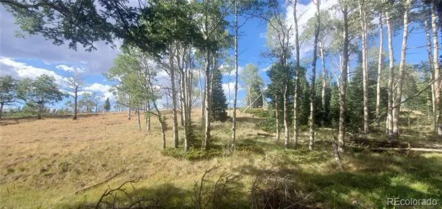 2649 Petito Drive Fort Garland, CO 81133