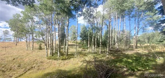 2649 Petito Drive Fort Garland, CO 81133