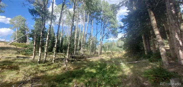 2649 Petito Drive Fort Garland, CO 81133