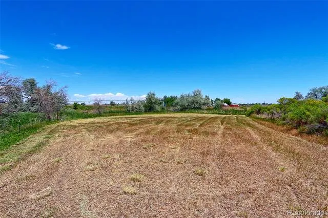 115 S County Road 23 Berthoud, CO 80513