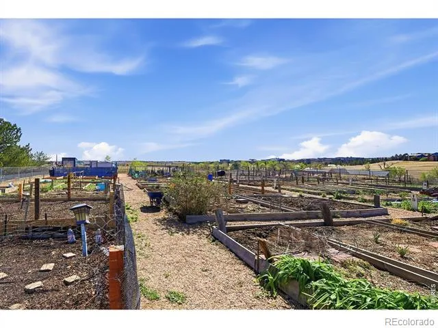 2040 Shamrock Drive Superior, CO 80027