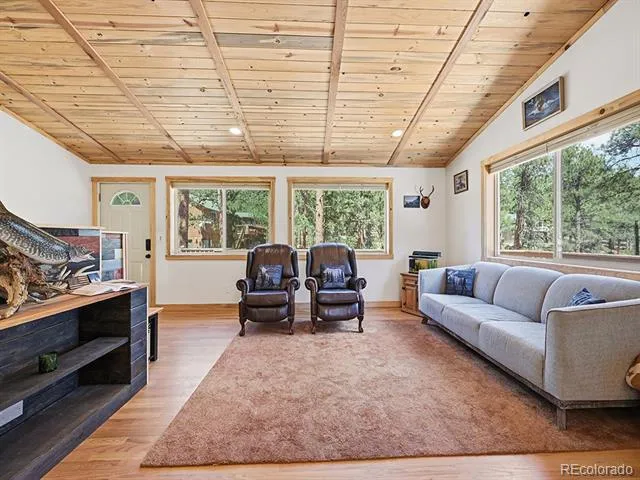234 Impala Trail Bailey, CO 80421
