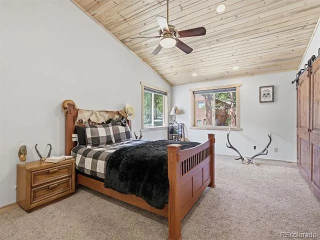 234 Impala Trail Bailey, CO 80421