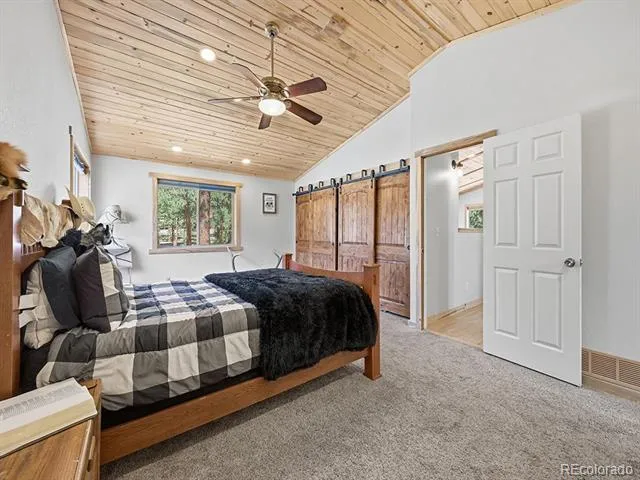 234 Impala Trail Bailey, CO 80421