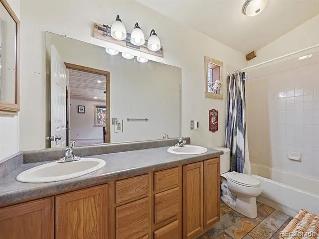 234 Impala Trail Bailey, CO 80421