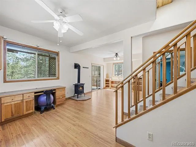 234 Impala Trail Bailey, CO 80421