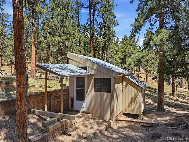 234 Impala Trail Bailey, CO 80421