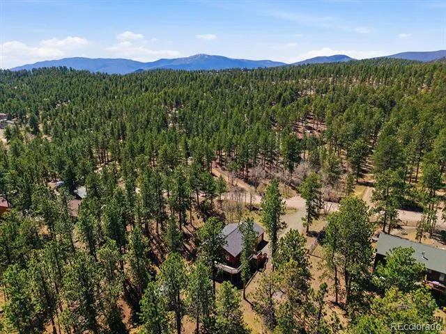 234 Impala Trail Bailey, CO 80421
