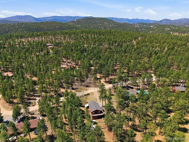 234 Impala Trail Bailey, CO 80421