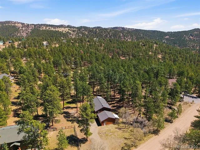234 Impala Trail Bailey, CO 80421