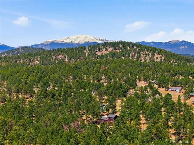 234 Impala Trail Bailey, CO 80421