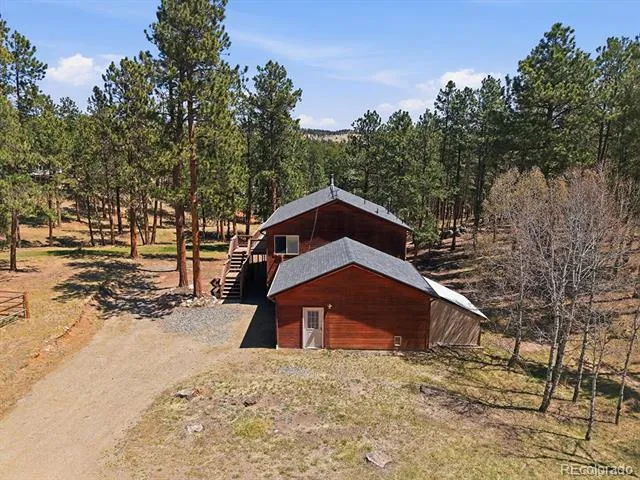 234 Impala Trail Bailey, CO 80421