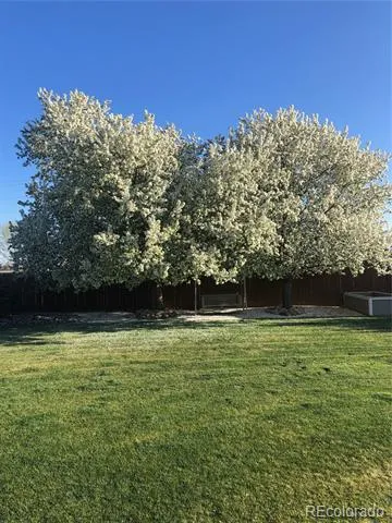 805 Waxberry Court Loveland, CO 80538