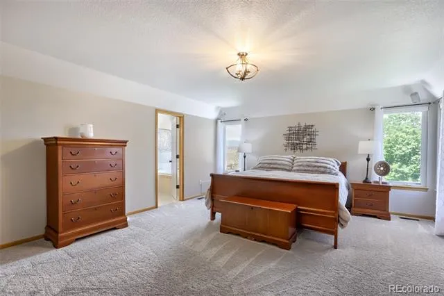 805 Waxberry Court Loveland, CO 80538